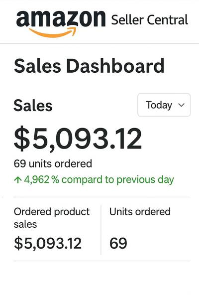Amazon Sales Screenshot 1